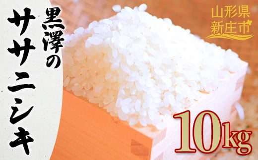 【先行予約】 令和6年産 黒澤のササニシキ 10kg 米 お米 おこめ 山形県 新庄市 F3S-2190 1349382 - 山形県新庄市