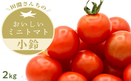 田淵さんちの美味しいミニトマト小鈴 2kg（1.0kg×2箱）