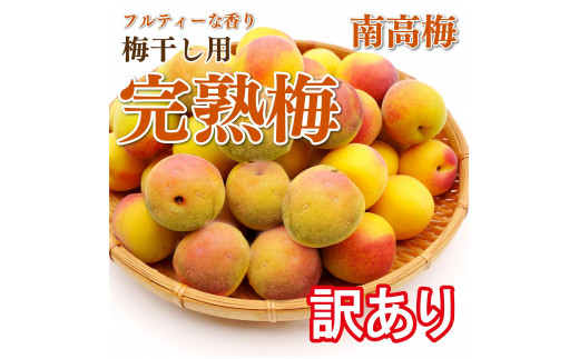 訳あり 手もぎ完熟南高梅 5Kg L～2L【発送期日：2024年6月中旬～下旬頃】 - 和歌山県有田川町｜ふるさとチョイス - ふるさと納税サイト