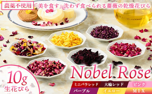 【ピンク】『美を食す』 Nobel Rose 乾燥花びら 10g｜通年出荷 食用バラ 薔薇 1337072 - 栃木県さくら市
