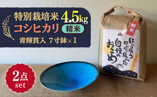 【令和7年産】 精米 コシヒカリ 特別栽培米 （4.5kg）+ 【美濃焼】 青輝貫入 7寸鉢 多治見市 / 山松加藤松治郎商店 [TEU051] 1213600 - 岐阜県多治見市