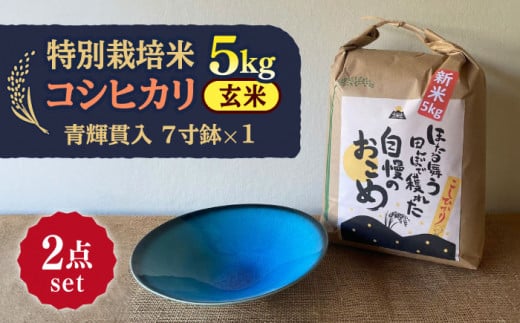 【令和7年産】 玄米 コシヒカリ 特別栽培米 （5kg）+ 【美濃焼】 青輝貫入 7寸鉢 多治見市 / 山松加藤松治郎商店 [TEU052] 1213601 - 岐阜県多治見市