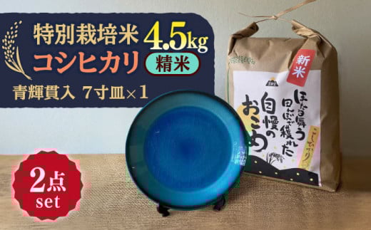 【令和7年産】 精米 コシヒカリ 特別栽培米 （4.5kg）+ 【美濃焼】 青輝貫入 7寸皿 多治見市 / 山松加藤松治郎商店 [TEU053] 1213602 - 岐阜県多治見市
