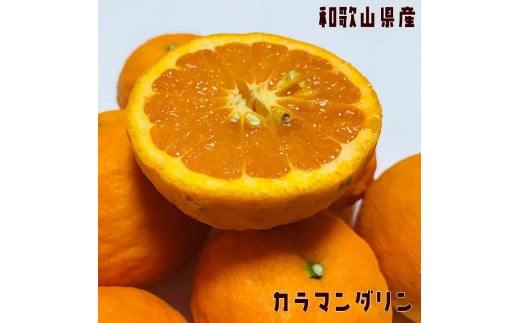 【ご家庭用】有田育ちの 完熟 カラマンダリン 約1kg 【先行予約・2025年4月中旬～5月下旬発送予定】【農園直送】【MS72】