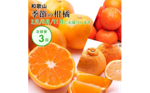 【 2・5・11月 全3回 】 柑橘定期便B【IKE8】 1341290 - 和歌山県高野町