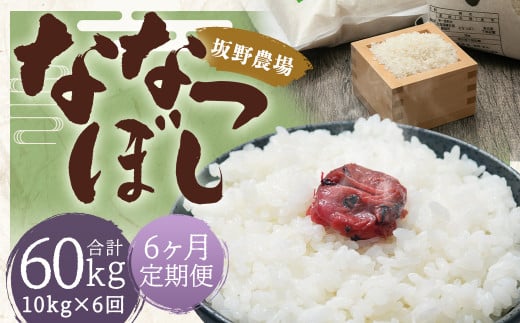 らんこし米 ななつぼし 10kg(5kg×2袋)
