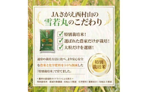 山形県河北町のふるさと納税 【令和6年産米】2025年7月上旬発送 雪若丸10kg（5kg×2袋） 山形県産 【JAさがえ西村山】