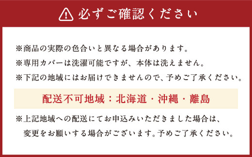 整体院の先生がおすすめする 枕 低反発チップ まくら 寝具 低反発 枕カバー