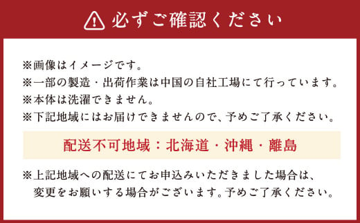 整体院の先生がおすすめする 背筋 キープ クッション