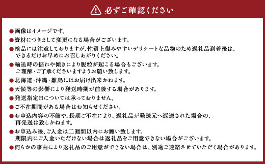 内子町産 ピオーネ 4～6房 約2kg【2024年8月下旬～9月下旬迄発送】【えひめの町（超）推し！（内子町）】（446）