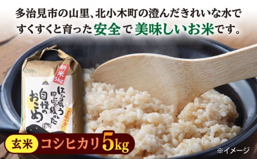 先行予約 【令和6年産新米】 玄米 コシヒカリ 特別栽培米 （5kg）+ 【美濃焼】 青輝貫入 7寸鉢 【山松加藤松治郎商店】 [TEU052] -  岐阜県多治見市｜ふるさとチョイス - ふるさと納税サイト