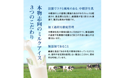 【無添加】北海道 プレミアム アイスクリーム（ミルク）10個