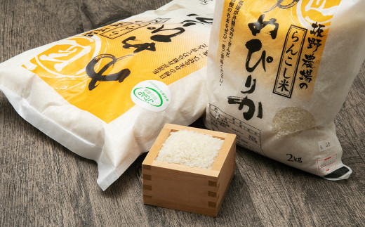 らんこし米 ゆめぴりか 10kg(5kg×2袋)