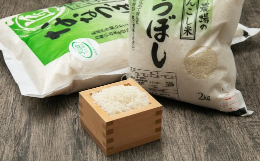 らんこし米 ななつぼし 2kg