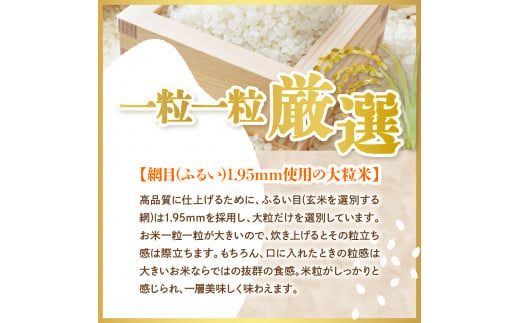 山形県河北町のふるさと納税 【令和6年産米】2025年7月上旬発送 雪若丸10kg（5kg×2袋） 山形県産 【JAさがえ西村山】