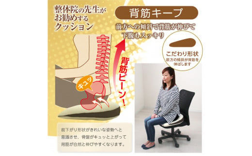 整体院の先生がおすすめする 背筋 キープ クッション