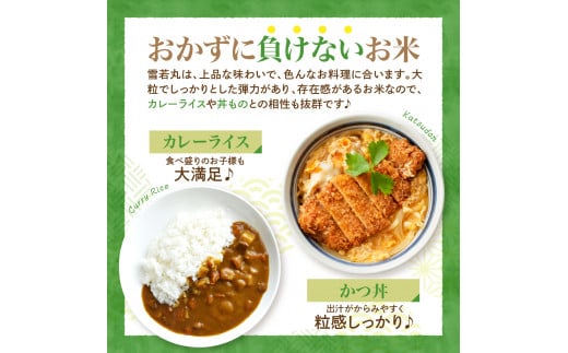 山形県河北町のふるさと納税 【令和6年産米】2025年7月上旬発送 雪若丸10kg（5kg×2袋） 山形県産 【JAさがえ西村山】