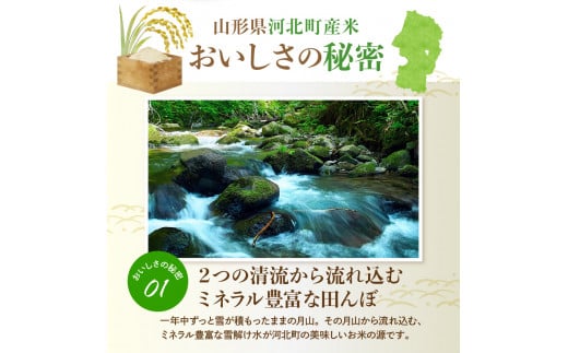 山形県河北町のふるさと納税 【令和6年産米】2025年7月上旬発送 雪若丸10kg（5kg×2袋） 山形県産 【JAさがえ西村山】