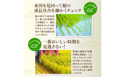 山形県河北町のふるさと納税 【令和6年産米】2025年7月上旬発送 雪若丸10kg（5kg×2袋） 山形県産 【JAさがえ西村山】