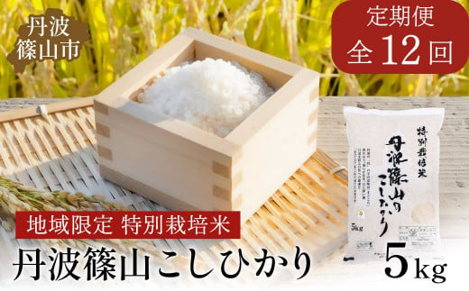 【定期便】※令和6年新米予約※特Aランク特別栽培米　コシヒカリ　5kg（全12回）　