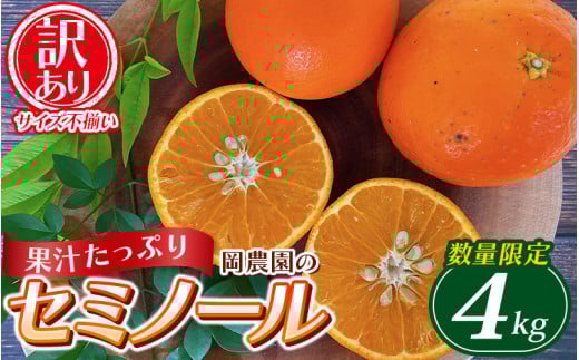 訳あり品 サイズ混合 ご家庭用 岡農園のセミノール4kg[2026年3月下旬から4月下旬までに順次発送] / セミノール わけあり 訳あり 家庭用 みかん 蜜柑 数量限定 ミカン