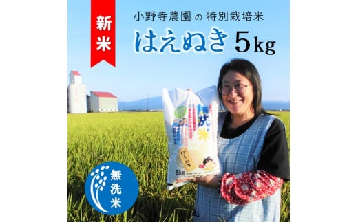【令和6年産・精米】小野寺農園の【無洗米】はえぬき5kg