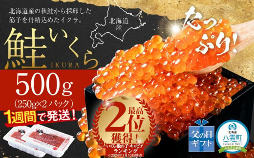 【父の日ギフト】北海道産 鮭いくら醤油漬　500g (250g×2パック) 【 いくら醤油漬け いくら醤油漬 北海道 小分け 鮭 海産物 魚介類 水産物応援 水産物支援 年内発送 年内配送 】