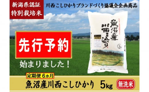 【先行予約】【定期便／6ヶ月】無洗米 魚沼産川西こしひかり5kg 新潟県認証特別栽培米 令和6年度米＜令和6年10月上旬～発送予定＞ 904482 - 新潟県十日町市