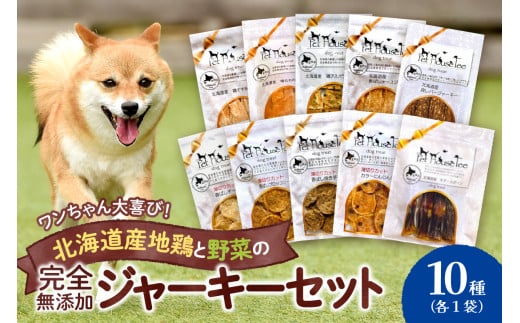 無添加ジャーキー セット 10種類 1袋 愛犬用 地鶏 鶏 野菜 無添加 動物 犬 ドッグ ペット ご褒美 餌 フード エサ おやつ 乾物 ごはん ご飯 間食 北海道 札幌市 680290 - 北海道札幌市