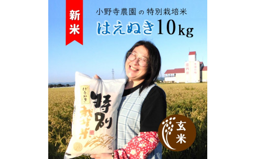 【令和6年産・玄米】小野寺農園の特別栽培米はえぬき10kg