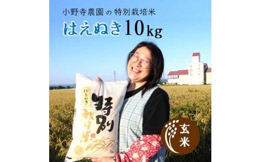 【令和5年産・玄米】小野寺農園の特別栽培米はえぬき10kg
