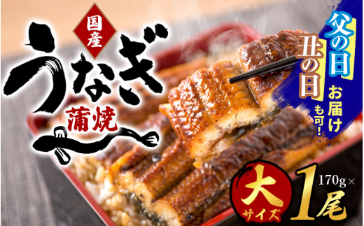 父の日【父の日までにお届け】【大型サイズ】国産 大型サイズ ふっくら柔らか 国産うなぎ蒲焼き 1尾 約2人前 化粧箱入 先行予約 国産 うなぎ ウナギ 鰻 蒲焼 土用の丑の日 丑の日 【uot714-pp】 1763761 - 和歌山県すさみ町