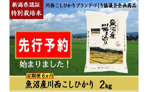 【先行予約】【定期便／6ヶ月】魚沼産川西こしひかり2kg 新潟県認証特別栽培米 令和6年度米＜令和6年10月上旬～発送予定＞ 904476 - 新潟県十日町市