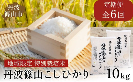 【定期便】※令和6年新米予約※特Aランク特別栽培米　コシヒカリ　10kg（全6回）　