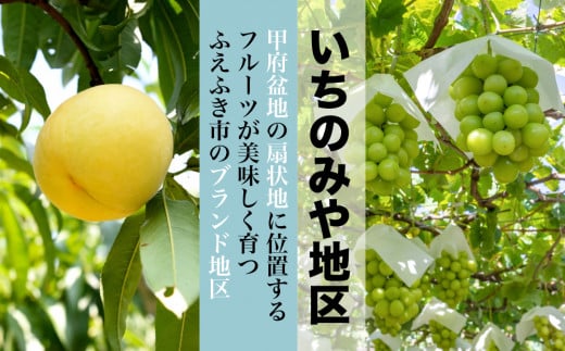 桃ブドウともに日本一の生産量を誇る笛吹市でも美味しいフルーツが育つことで有名な「いちのみや」地区のフルーツをお届けします。