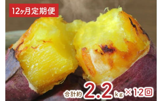 EY-20　【12ヶ月定期便】熟成紅はるかの冷凍焼き芋約2kg＋おまかせ品種さつまいも　合計約2.2kg！ 1048629 - 茨城県行方市