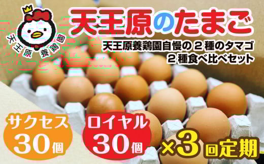 [定期便]3回定期[天王原のたまご] サクセス卵30個/ロイヤル卵30個 [3回定期便 セット たまご 卵 玉子 タマゴ 濃厚 食べ比べ ハリ 弾力 ボリューム 甘味 旨味 卵黄 風味 生 コク 甘味 卵かけご飯 卵焼き 目玉焼き オムレツ 茶碗蒸し お菓子作り パンの材料]