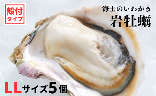 【いわがき殻付き LLサイズ 5個】岩牡蠣 生食可 冷凍 牡蛎 牡蠣 かき カキ 岩牡蠣 いわがき 冷凍 父の日 母の日 バーベキュー ギフト