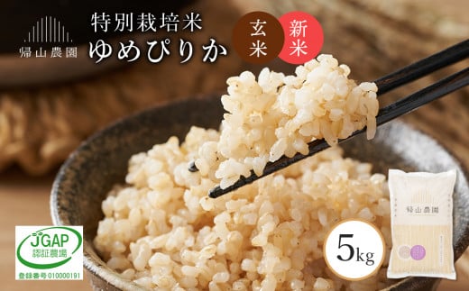  新米予約 玄米 ゆめぴりか 5kg　特別栽培米産地直送《帰山農園》 1346601 - 北海道知内町