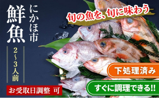 下処理済 鮮魚 2~3人前 届けばすぐ食べられる鮮魚セット 詰め合わせ(お魚ボックス パック)