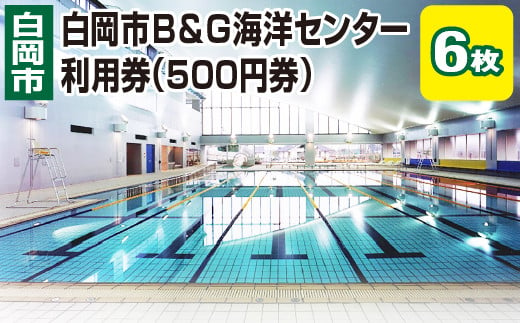 白岡市B&G海洋センター利用券（500円券）6枚　【11246-0272】 1459098 - 埼玉県白岡市