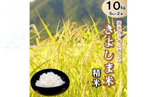 きよしま米【精米】５kg×２袋[823] コシヒカリ