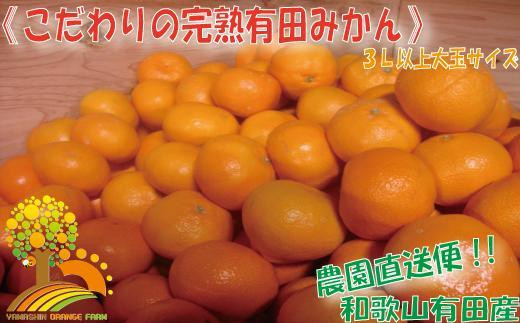 ＼農家直送／こだわりの大玉有田みかん 3Lサイズ以上約7.5kg【2024年12月より順次発送】 481732 - 和歌山県九度山町