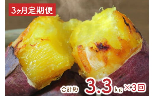 EY-9　【3ヶ月定期便】熟成紅はるかの冷凍焼き芋約3kg＋おまかせ品種さつまいも　合計約3.3kg！ 1048610 - 茨城県行方市