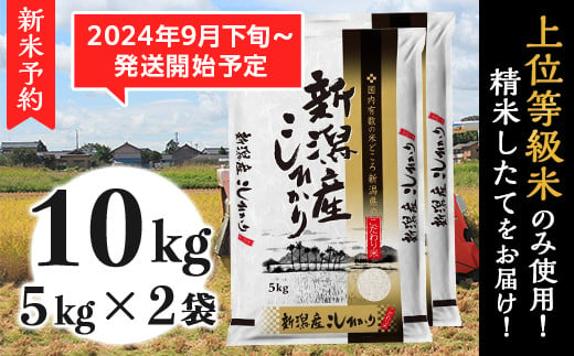 K101新潟県産コシヒカリ10kg（5kg×2袋） 1265489 - 新潟県胎内市