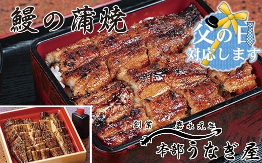 [父の日ギフト]うなぎ 蒲焼 カット無頭 本部うなぎ屋 かば焼き 国産 宮崎 蒲焼 鰻[3-8]