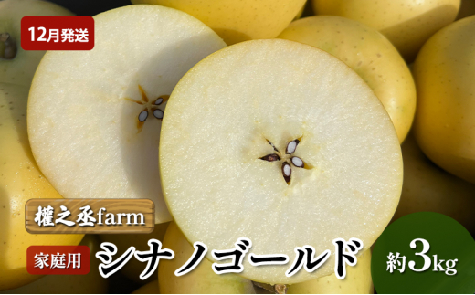 【12月発送】權之丞farm シナノゴールド 家庭用 約3kg【弘前市産・青森りんご】 1348376 - 青森県弘前市