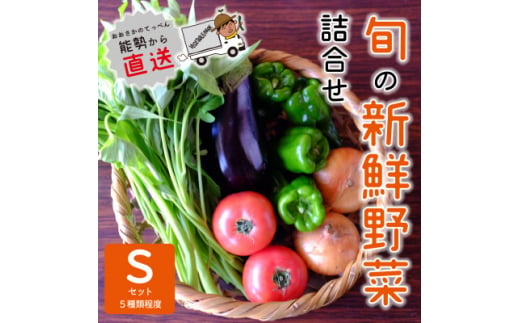 『大阪能勢産』　農家直送!べじたぶるぱーくの旬の新鮮野菜詰合せ　Sセット(5種類)　【1509066】