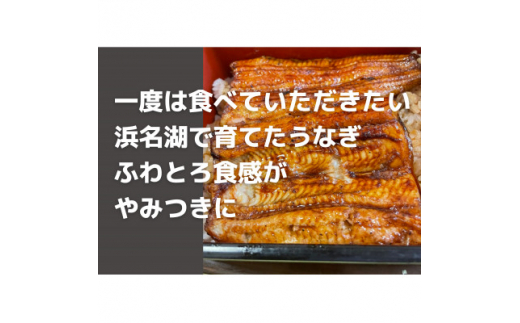 静岡県湖西市のふるさと納税 ＜浜名湖産＞うなぎ蒲焼き(真空パック)×3本　タレ・山椒・お吸い物付【1398866】