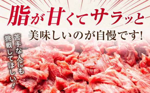 佐賀県吉野ヶ里町のふるさと納税 【選べる発送月】【不揃い訳あり・部位おまかせ】佐賀牛 切り落とし 肩orバラ 計1.2kg（600g×2） 吉野ヶ里町 [FDB001]